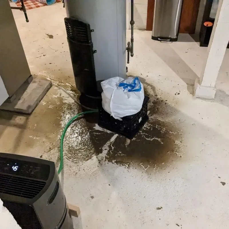 Sewage Backup Cleanup Service in South Connellsville, PA